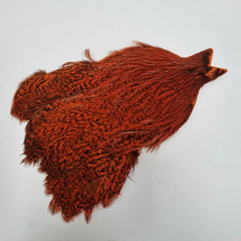 Whiting Coq de Leon Hen Cape in Speckled Orange-6